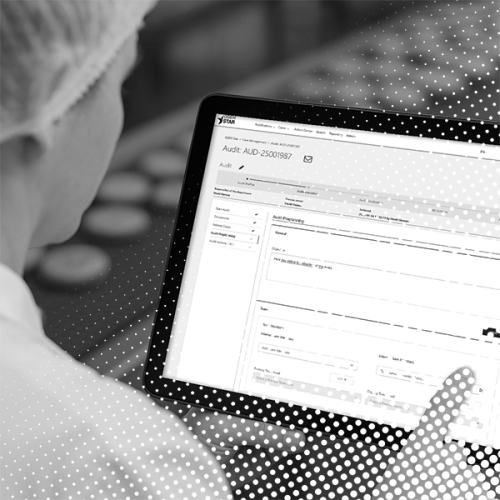 audit-dots-bw